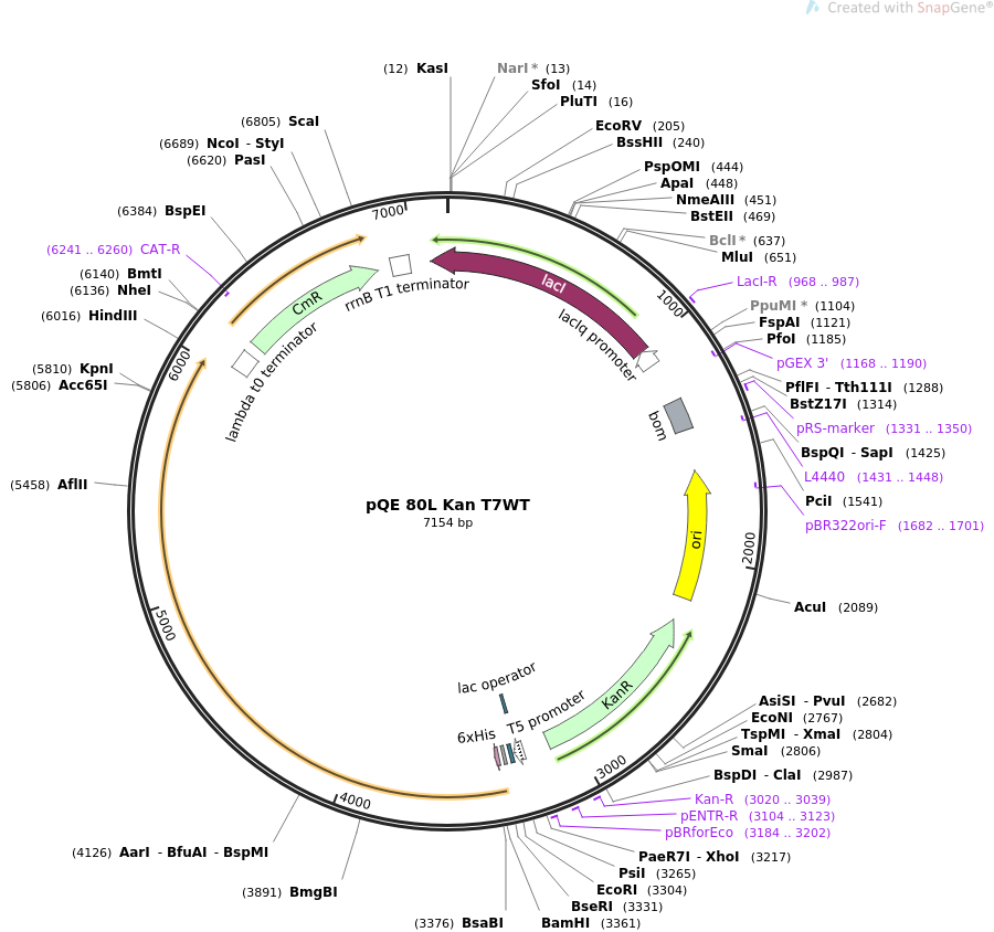 ed9cc11b3c038fa933b8a5ed02d83ff2_addgene-plasmid-102790-sequence-197800-map.png